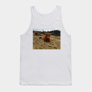 Scottish Highland Cattle Cow and cat 2365 Tank Top